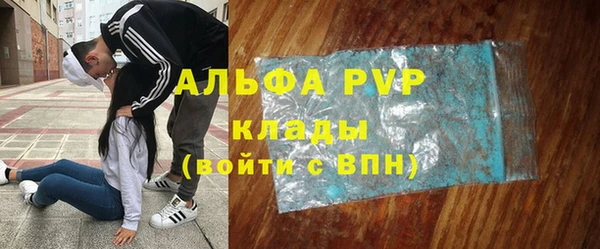 сатива Володарск