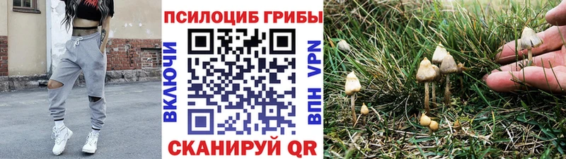 Псилоцибиновые грибы Magic Shrooms наркотики даркнет формула Южно-Сахалинск